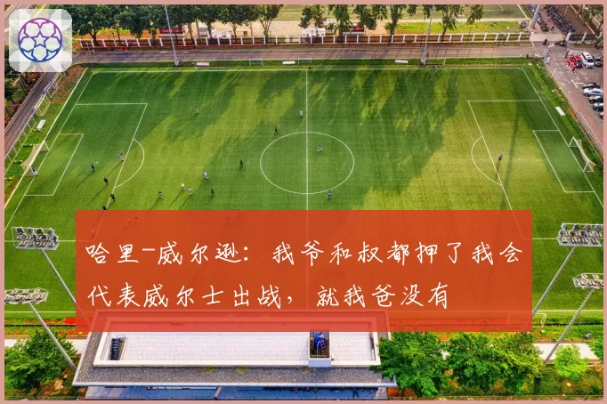 哈里-威尔逊:我爷和叔都押了我会代表威尔士出战,就我爸没有