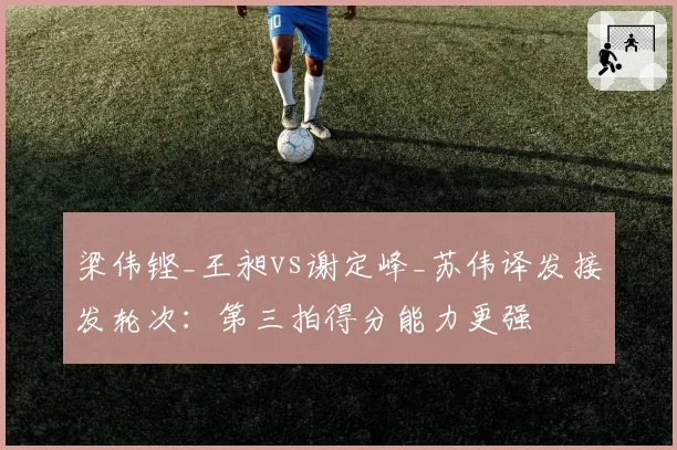 梁伟铿_王昶vs谢定峰_苏伟译发接发轮次：第三拍得分能力更强