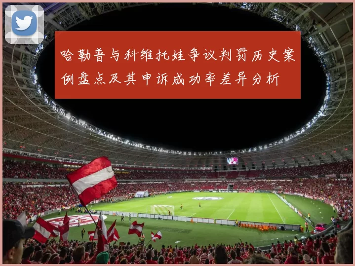 哈勒普与科维托娃争议判罚历史案例盘点及其申诉成功率差异分析