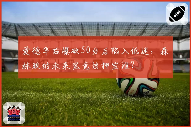 爱德华兹爆砍50分后陷入低迷，森林狼的未来究竟该押宝谁？