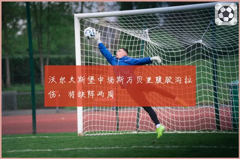 沃尔夫斯堡中场斯万贝里腹股沟拉伤,将缺阵两周